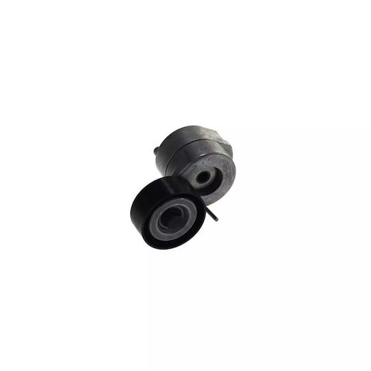 Tensionor curea Fiat Panda Van 169 Dayco Apv1078