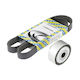 Set curea de transmisie Citroen C2 Jm Dayco Kpv229