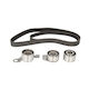 Zahnriemen-Kit Land Rover Freelander Soft Top Ln Dayco Ktb769