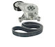 Transmission Belt Set Vw Golf Plus 5m1 521 Dayco Kpv248