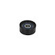 Guide Roller Chevrolet Trax Dayco Apv3099