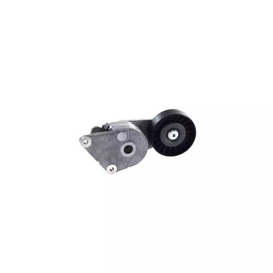Belt Tensioner Citroen Xantia Break X2 Dayco Apv1001