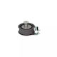 Poleia de tensionare curea Vw New Beetle Cabriolet 1y7 Dayco Atb2146