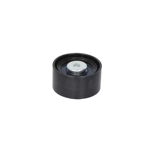 Bmw 3 Touring E91 Dayco Apv2781 Guide Roller