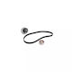Water Pump Set + Timing Belt Fiat Doblo Microbus 223 119 Dayco Ktbwp4662