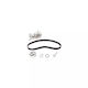 Water Pump Set + Timing Belt Dacia Sandero Dayco Ktbwp3211