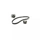 Water Pump Set + Timing Belt Fiat Punto 199 Dayco Ktbwp2853