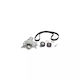 Water Pump Set + Timing Belt Peugeot Expert 224 Dayco Ktbwp3442