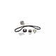 Water Pump Set + Timing Belt Opel Astra F Classic Combi Dayco Ktbwp3080