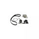 Water Pump Set + Timing Belt Citroen Xantia X1 Dayco Ktbwp1151