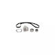 Water Pump Set + Timing Belt Fiat Croma 194 Dayco Ktbwp4490