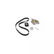 Water Pump Set + Timing Belt Renault Kangoo Express Fc0 1 Dayco Ktbwp5321
