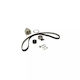 Water Pump Set + Timing Belt Lancia Delta Iii 844 Dayco Ktbwp7590