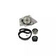 Water Pump + Timing Belt Set Citroen Berlingo Mf Dayco Ktbwp1960