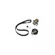 Wasserpumpen-Set + Zahnriemen Vw New Beetle 9c1 1c1 Dayco Ktbwp4831