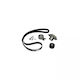 Water Pump Set + Timing Belt Fiat Idea 350 Dayco Ktbwp3170