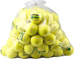 Babolat Kids Tennis Balls 72pcs