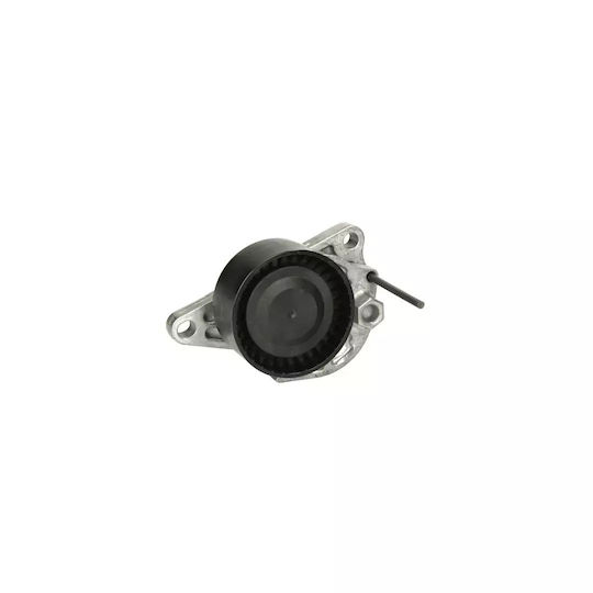 Belt Tensioner Renault Grand Scenic Iii Jz0 1 Dayco Apv3205