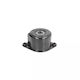 Bmw 5 E60 Dayco Apv2536 Belt Tensioner