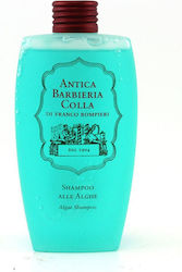 Antica Barbieria Colla Milano Algae Shampoos gegen Schuppen 200ml