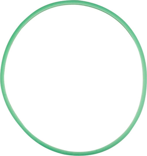 Activeshop Friseurbedarf Silikondichtung für Autoklaven Wachs 7l und 8l grün 7,5 mm Green 106638
