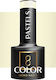 Ocho Pro Hybrid Halb-permanenter Nagellack P01 5gr 1Stück
