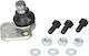 Pivot Renault Kangoo Express Fw0 1 Fortune Line Fz3295