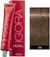 Schwarzkopf Igora Royal Βαφή Μαλλιών 7-4 Ξανθό Μεσαίο Μπεζ 60ml