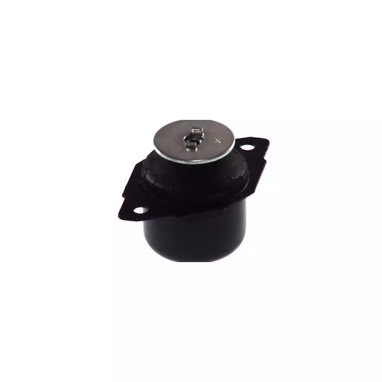 Support Box Seat Cordoba Vario 6k5 Fortune Line Fz9929