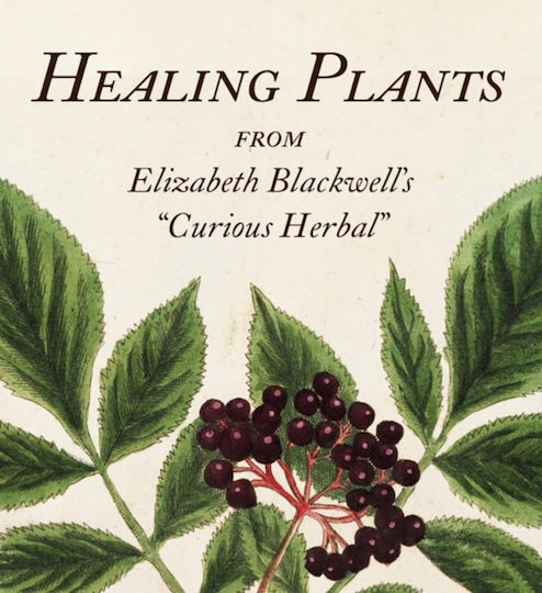 Healing Plants Inc.,u.s Healing Plants Inc.,u.s