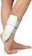 Armor Orthopedics Guler