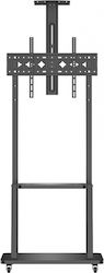 Noozy 41066 Floor TV Mount Noozy 41066 Floor TV Mount