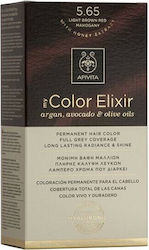 Apivita My Color Elixir Βαφή Μαλλιών Χωρίς Αμμω...