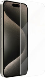 Gehärtetes Glas (Samsung Galaxy S24+)