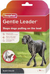 Dog Leashes & Leads