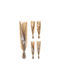 Dried Plant Gold with LED