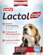 Beaphar Lactol Lapte pentru câini sub formă de pulbere 500gr