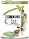 Cat Chow Υγρή Τροφή για Ενήλικες Γάτες σε Φακελάκι με Κοτόπουλο 85gr