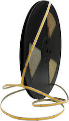 Eco Light Ταινία LED 24V Θερμό Λευκό 5m