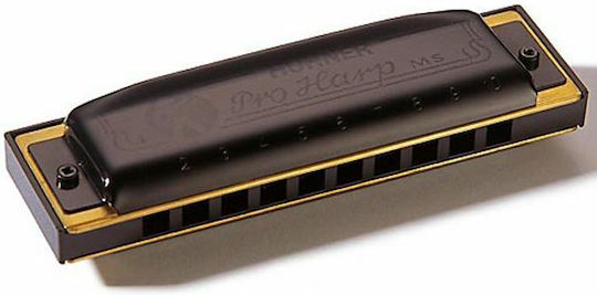 Hohner Φυσαρμόνικα Proharp 562/20 Τονικότητας E (Mi) Ματζόρε