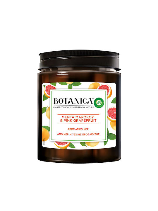 Airwick Duftkerze Botanica Gefäß mit Duft Marokkanische Minze & Rosa Grapefruit Braun 205gr 1Stück