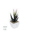 Globostar Artificial Garden Succulent Aloe Potted Plant 20974 Decorative Aloe Plant Φ7 X Η14cm