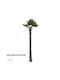 Globostar Artificial Garden Plant Palm Tree 21057 Διακοσμητικό Δέντρο Φοίνικα Φ240 X Υ600cm
