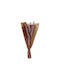 Dried Plant Daisy Red 55cm