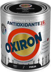 Titanlux Βερνικόχρωμα Αντισκωριακό Νερού Oxiron...
