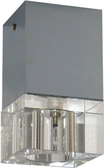 Gekas Ceiling Mount Light with Socket G4
