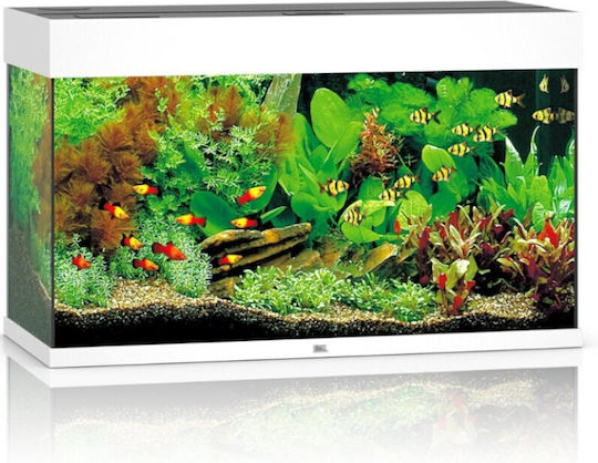 Juwel Rio 125 Led Ενυδρείο Ψαριών Χωρητικότητας 125lt με Θερμαντήρα, Φίλτρο, 81εκ. Λευκό