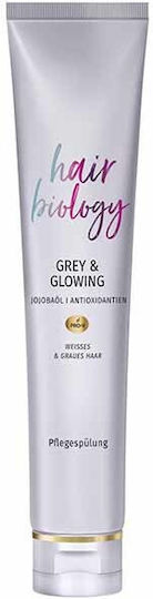 Pantene Pro V Hair Biology Grey & Glowing Conditioner Farberhalt für Gefärbt Haare 160ml