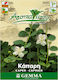 Gemma Samen Capparis 0.01gr