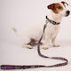 Goget Neoprene Leash with Metal Hook Kaleidosco...